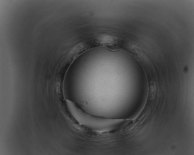 X0000095690379200801151154