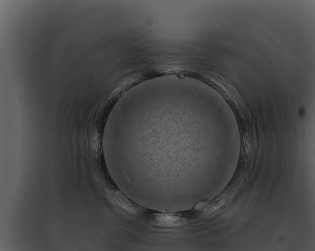 X0000095690380200801151154