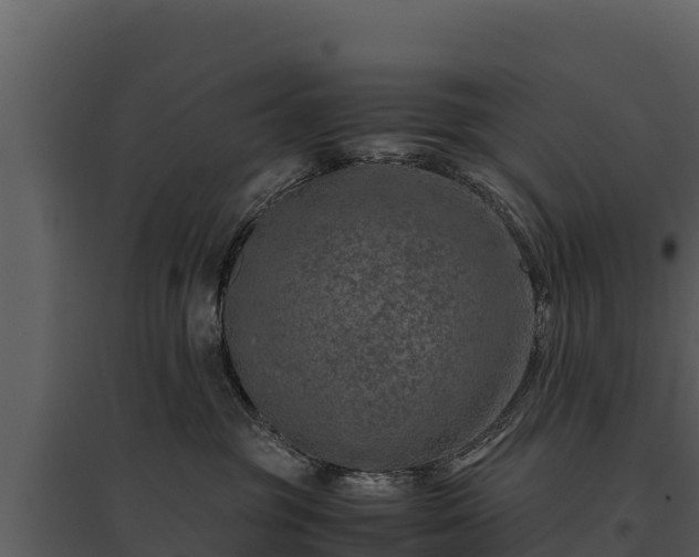 X0000095690381200801151154