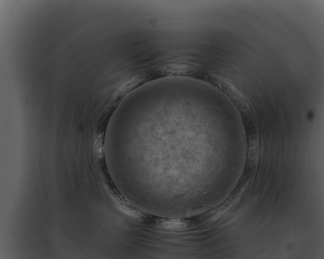 X0000095690383200801151154