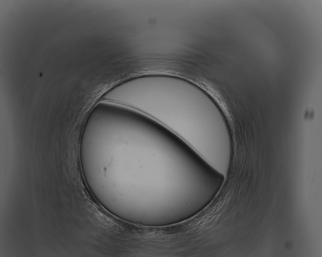 X0000095690385200801151153