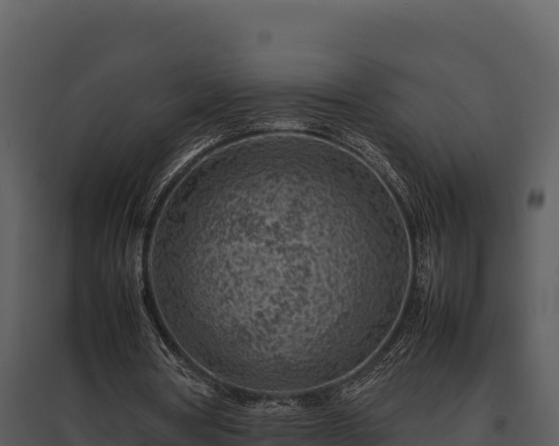 X0000095690386200801151153