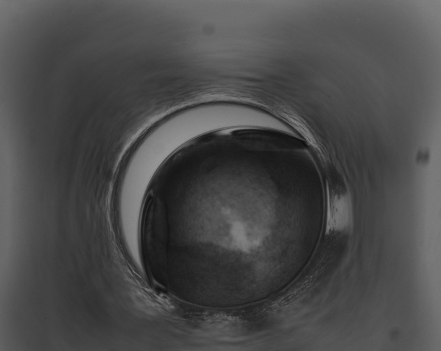 X0000095690387200801151153