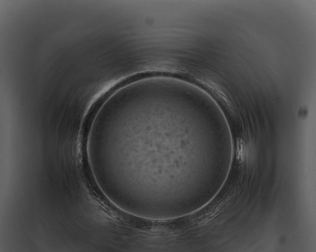 X0000095690388200801151153