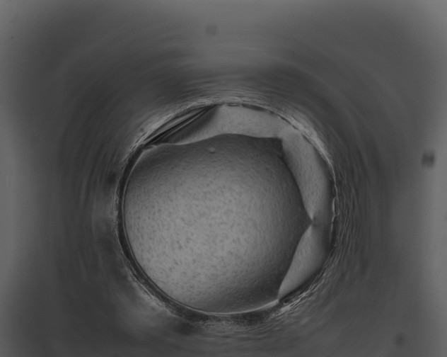 X0000095690389200801151153