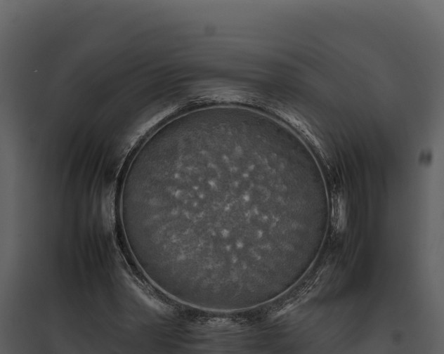 X0000095690390200801151153