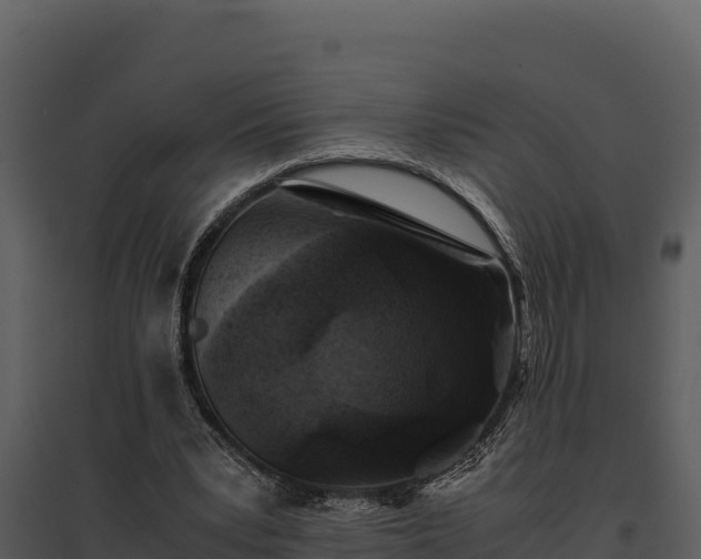 X0000095690391200801151153