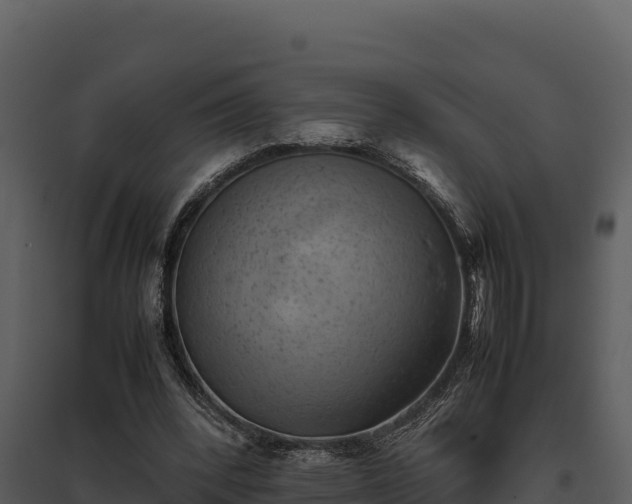 X0000095690392200801151153