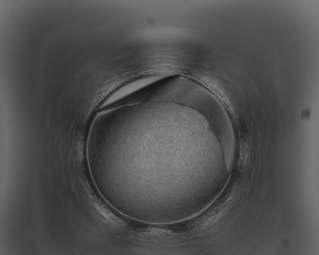 X0000095690393200801151153