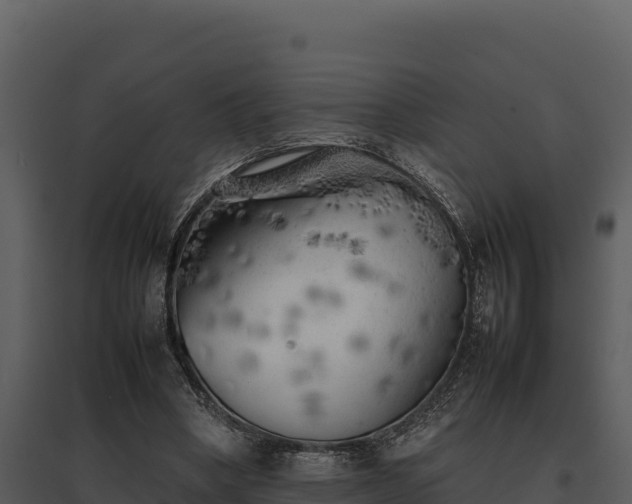 X0000095690394200801151153