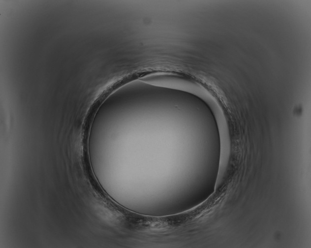 X0000095690395200801151153