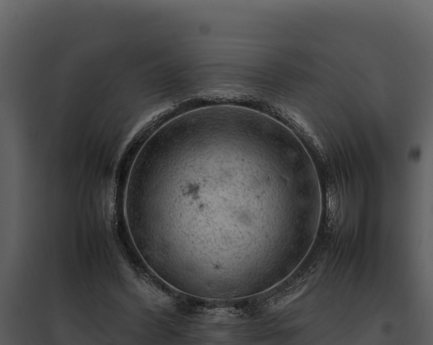 X0000095690396200801151153