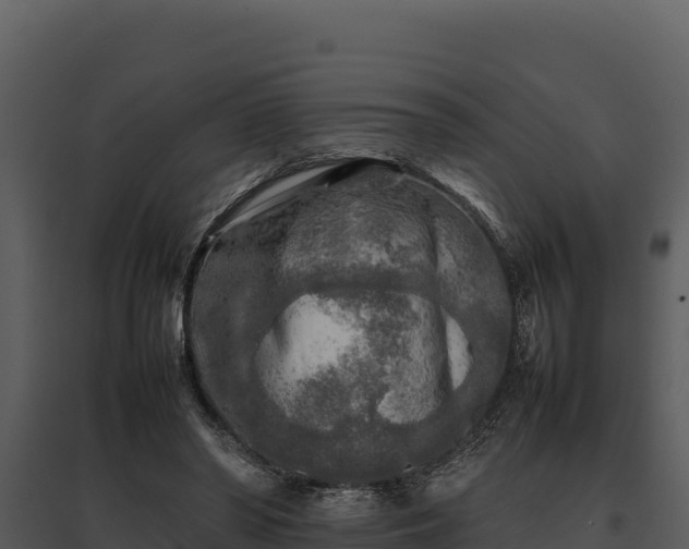 X0000095690398200801151153