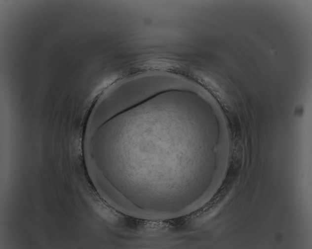 X0000095690399200801151153