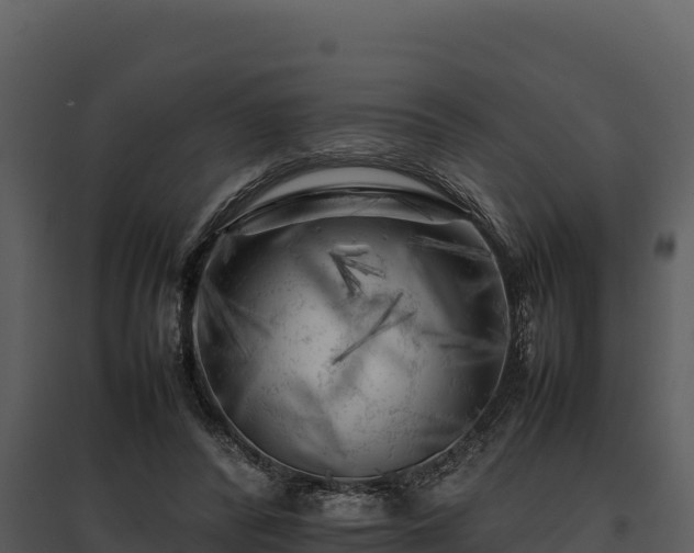 X0000095690400200801151153