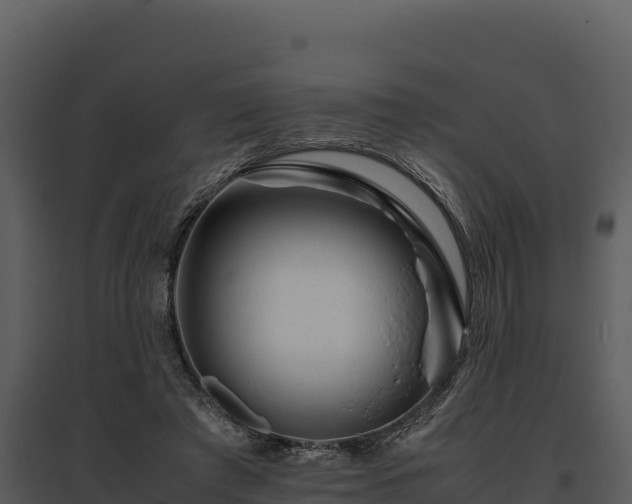 X0000095690401200801151153