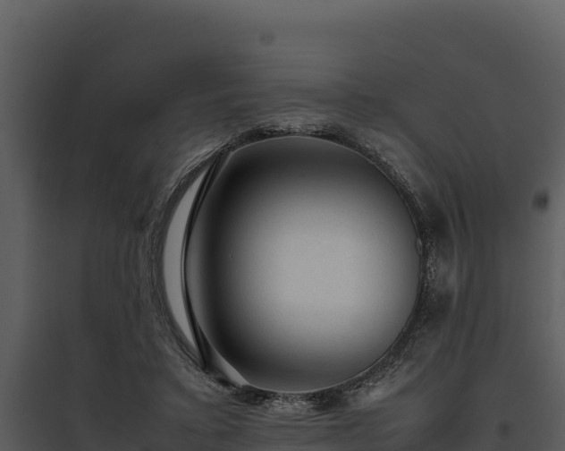 X0000095690403200801151153