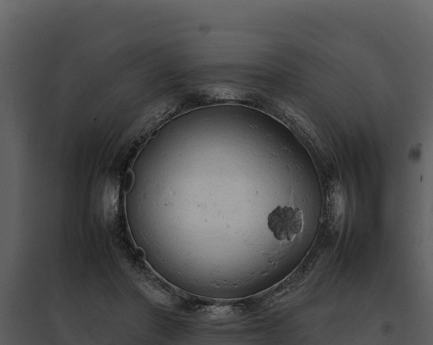 X0000095690406200801151153