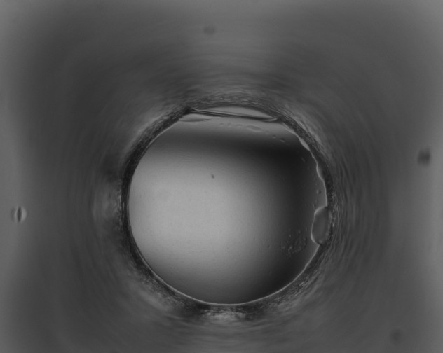 X0000095690407200801151153