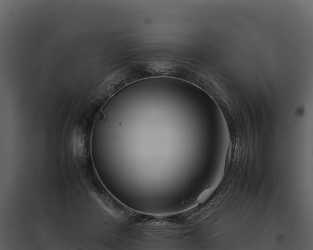 X0000095690408200801151153