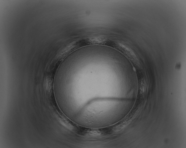 X0000095690409200801151153