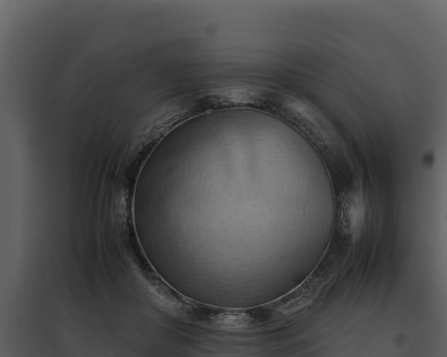 X0000095690410200801151153