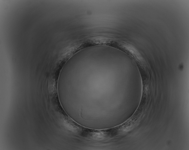 X0000095690411200801151153