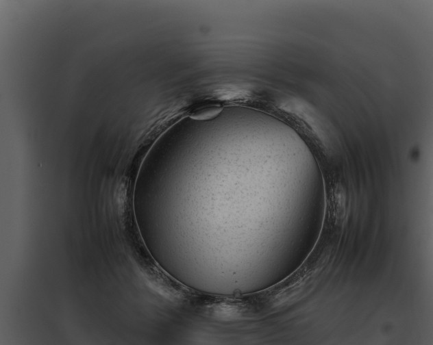 X0000095690412200801151153