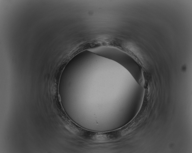 X0000095690413200801151153