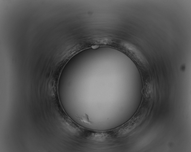 X0000095690414200801151153