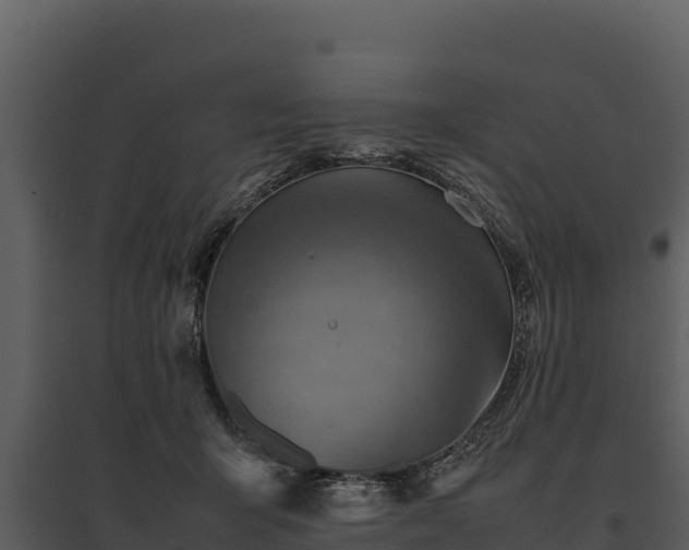 X0000095690415200801151153