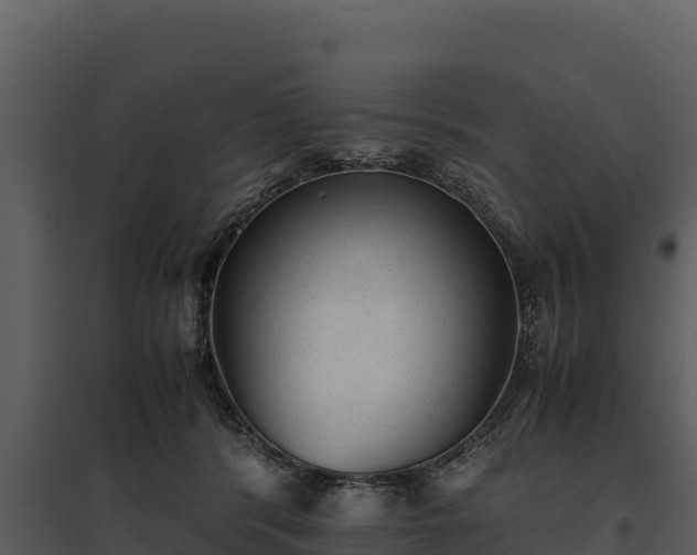 X0000095690416200801151153