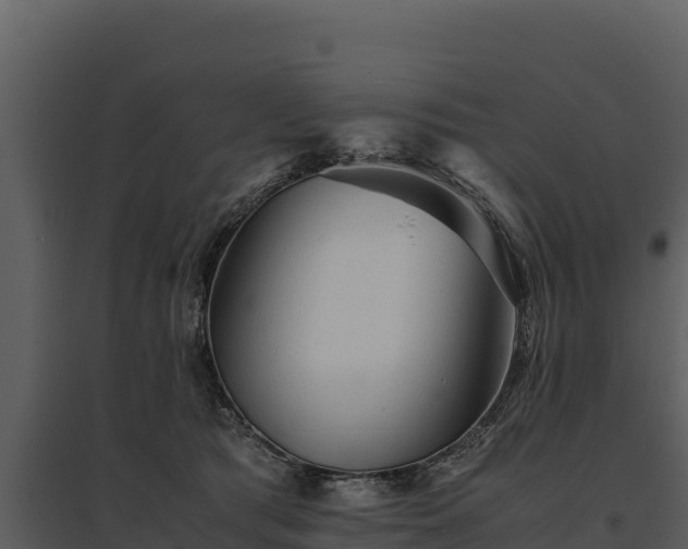 X0000095690417200801151153