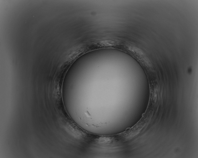 X0000095690418200801151153