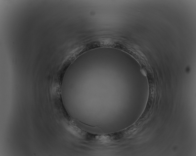 X0000095690419200801151153