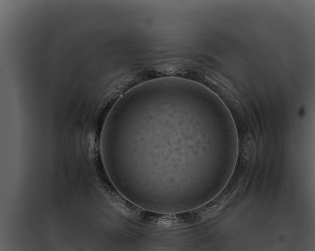 X0000095690420200801151153