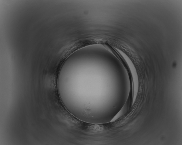 X0000095690421200801151153