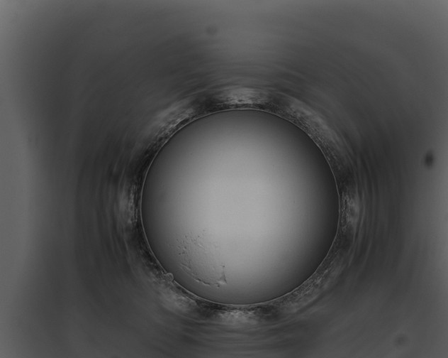 X0000095690422200801151153