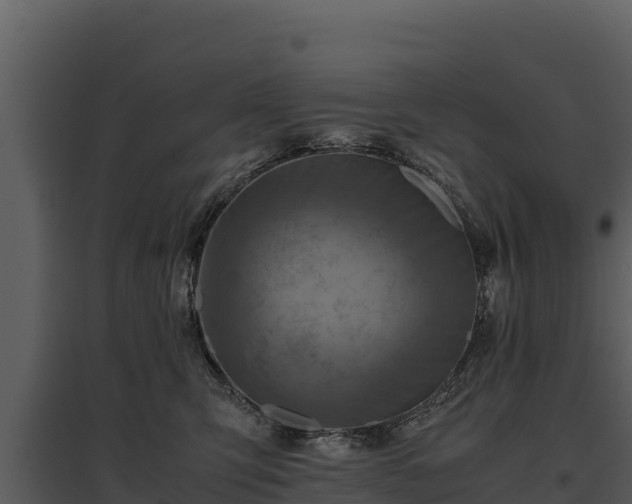 X0000095690423200801151153