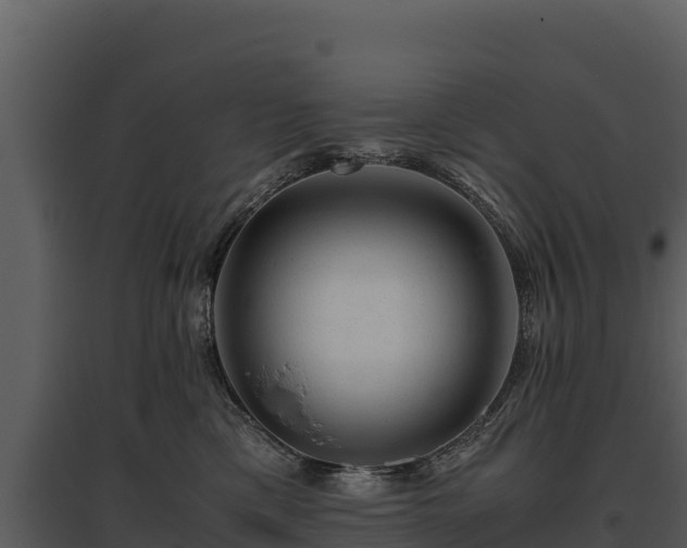 X0000095690425200801151153