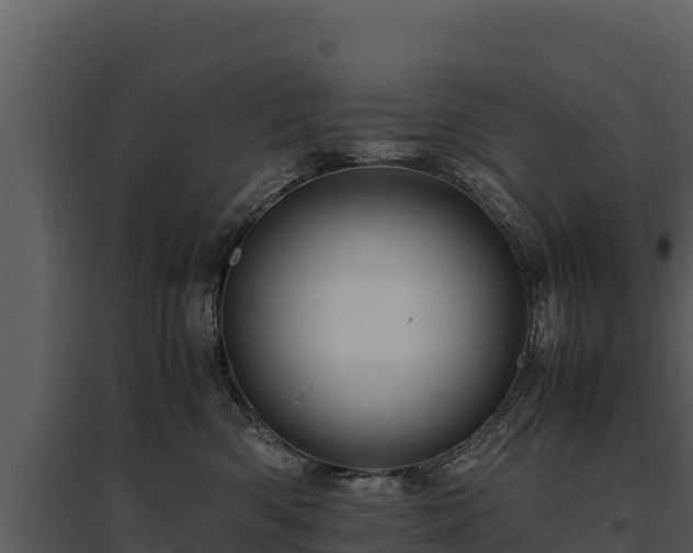 X0000095690426200801151153