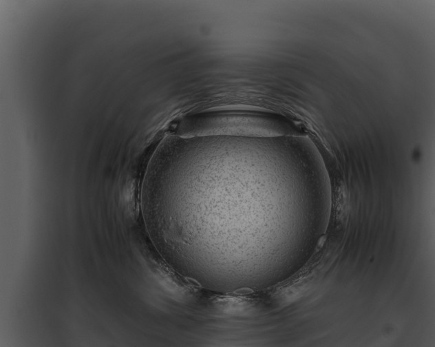 X0000095690428200801151153