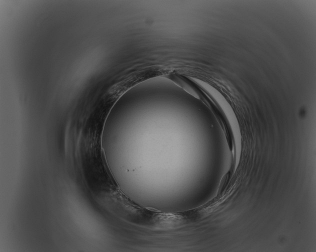 X0000095690429200801151153