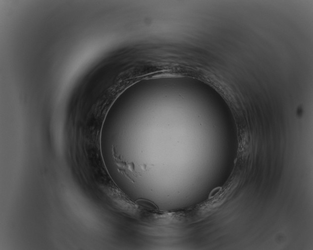 X0000095690430200801151153