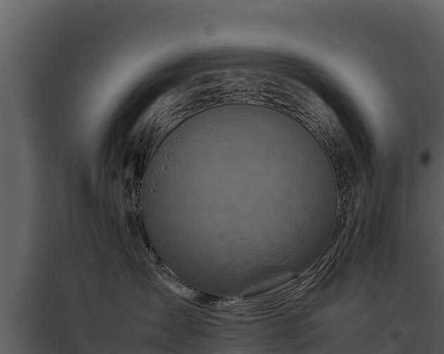 X0000095690431200801151153