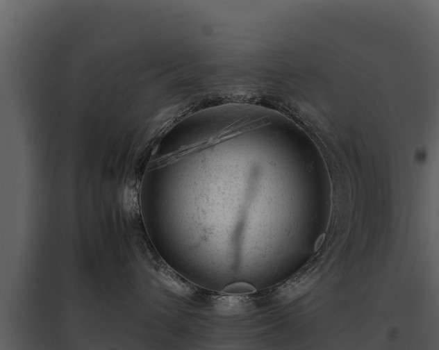 X0000095690432200801151153