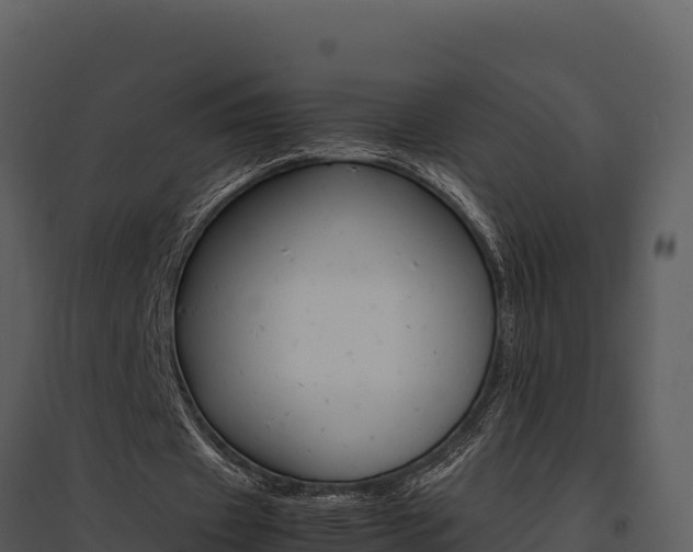 X0000095690433200801151152