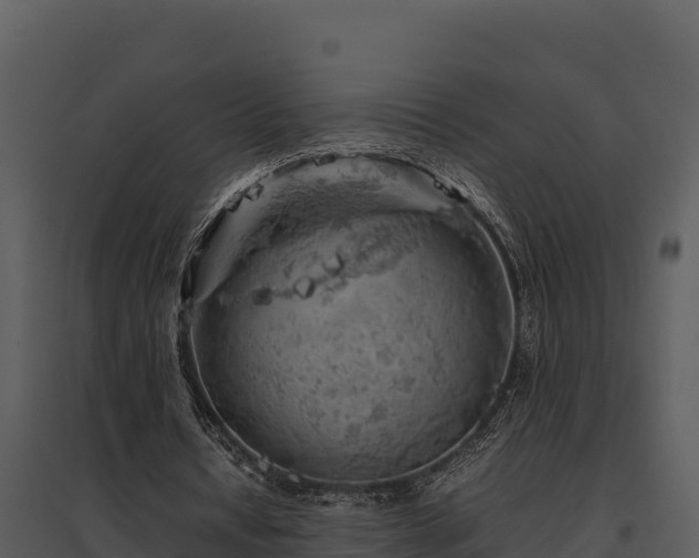 X0000095690434200801151152