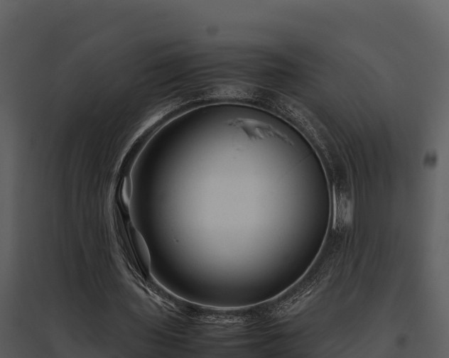 X0000095690435200801151152