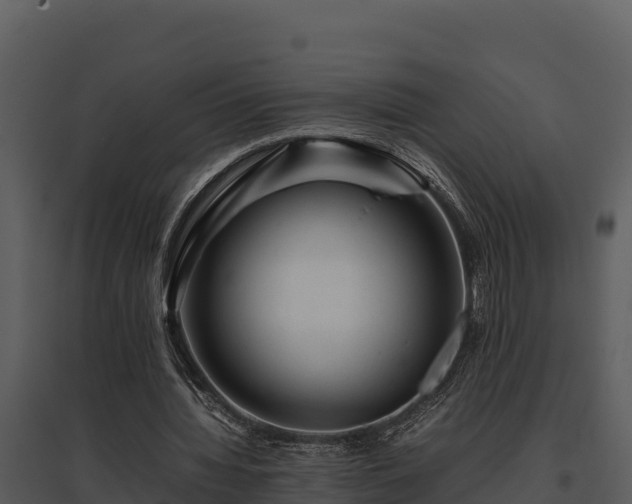 X0000095690436200801151152